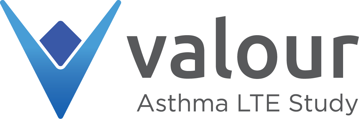 7058626_valour_logo